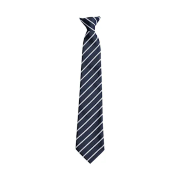 Cardinal Wiseman Clip-On Tie