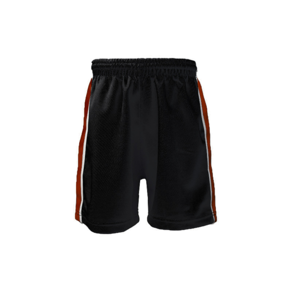 Twyford Shorts