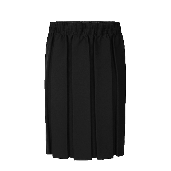 Black Box Pleat Skirt