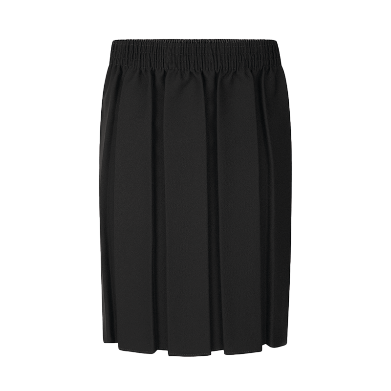 Black Box Pleat Skirt
