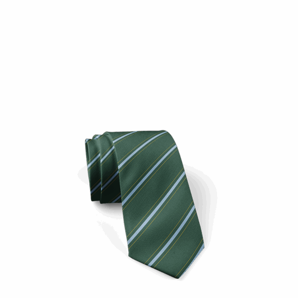 Our Lady & St John Tie